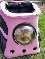 "The Fat Cat" Cat Backpack - For Larger Cats