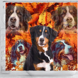 Bernese Mountain Dog Print Shower Curtain-Free Shipping