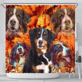 Bernese Mountain Dog Print Shower Curtain-Free Shipping