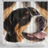 Greater Swiss Mountain Dog Print Shower Curtain-Free Shipping