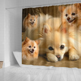Pomeranian Print Shower Curtains-Free Shipping
