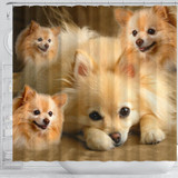 Pomeranian Print Shower Curtains-Free Shipping