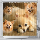 Pomeranian Print Shower Curtains-Free Shipping