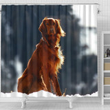 Irish Setter Dog Print Shower Curtains-Free Shipping