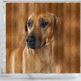 Rhodesian Ridgeback Dog Print Shower Curtain-Free Shipping