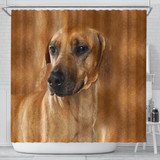 Rhodesian Ridgeback Dog Print Shower Curtain-Free Shipping
