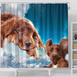 Irish Setter On Sky Blue Print Shower Curtains-Free Shipping