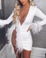 Sequined Feather Trim Mini Dress