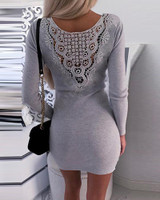 Backless Lace Insert Bodycon Mini Dress