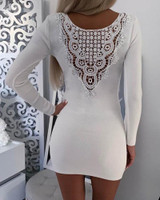 Backless Lace Insert Bodycon Mini Dress