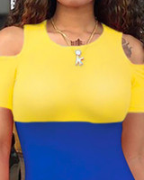 Cold Shoulder Colorblock Bodycon Dress