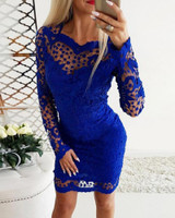Lace Insert Bodycon Mini Dress