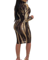 Mesh Insert Bodycon Midi Dress