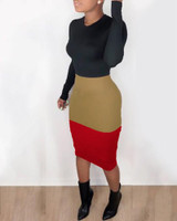 Colorblock Insert Long Sleeve Bodycon Dress