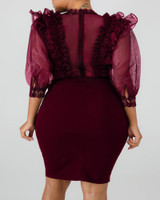Sheer Mesh Insert Ruffles Bodycon Dress