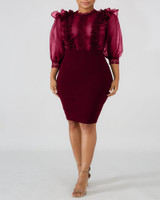 Sheer Mesh Insert Ruffles Bodycon Dress