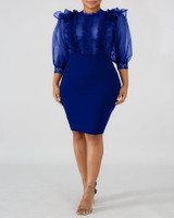 Sheer Mesh Insert Ruffles Bodycon Dress