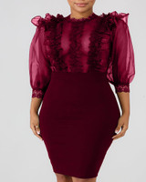 Sheer Mesh Insert Ruffles Bodycon Dress