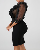 Sheer Mesh Insert Ruffles Bodycon Dress