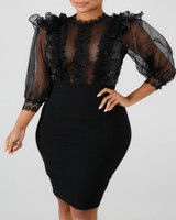 Sheer Mesh Insert Ruffles Bodycon Dress