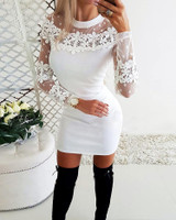 Floral Lace & Dots Mesh Yoke Bodycon Dress