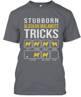 STUBBORN DOG