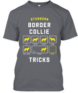 STUBBORN DOG Border Collie