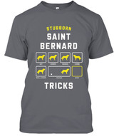 STUBBORN DOG Saint bernard