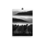 Camel & Sand Dunes Poster