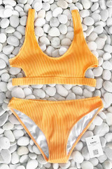 Hollow Out Low Waist Bikini Set