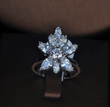 Exquisite 4 Piece CZ Platinum Jewelry Set