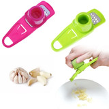 Multi Functional Ginger Garlic Grinding Tool
