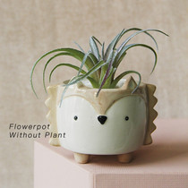 FLOWER POTS