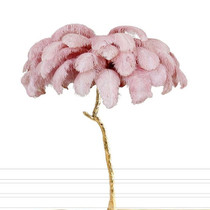 Nordic Modern Luxury Ostrich Feather Floor lamp