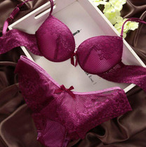 2017 Sexy Underwear Women Bra Set Lingerie Set Luxurious Vintage Lace Embroidery Push Up Bra And Panty Set