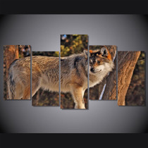 HD Printed 5 Piece Canvas Art Brown Wild Wolf  Painting Wall Pictures Living Room Decoration