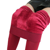 Winter Warm Pantyhose Tights High Elastic Waist Velvet Legins Thick Tights Female Plus Size Collant Stretchy Pantyhose