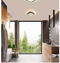 Entrance Modern LED Ceiling Lamp for home