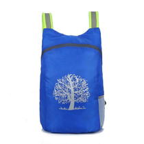 Lightweight Folding Backpack