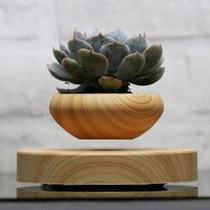 Levitating Indoor Plant Pot