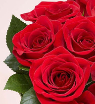 Two Dozen Red Roses with Red Vase