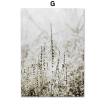 Subconsciously Serene Canvas Prints