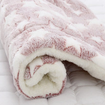 Soft Thickened Pet Dog Cat Fleece Mat Pet Blanket Bed Cover Pad for Large Dogs Sofa Cushion Warm Sleeping Puppy Bed