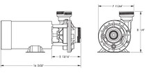 Waterway Plastics PH1150-6 1.5 hp Hi-Flo Above Ground Pool Pump