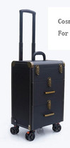 Portable Professional Trolley Cosmetic case Bag Suitcase For Makeup with wheels Large Capacity Women Box Nails Beauty Luggage