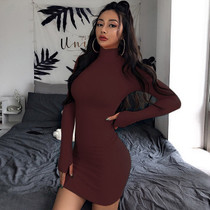 Turtleneck Long Sleeve Knitted Dress