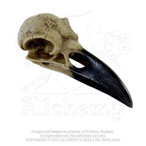 Corvus Alchemia Raven Skull, Alchemy Gothic