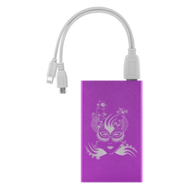 Steampunk Girl Power Bank