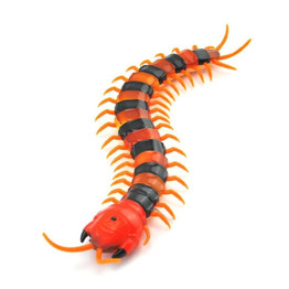 Insect Remote Control Cat Toy