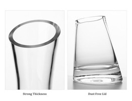 Elegant Wine Decanter with Crystal Stopper (1.5 liters)